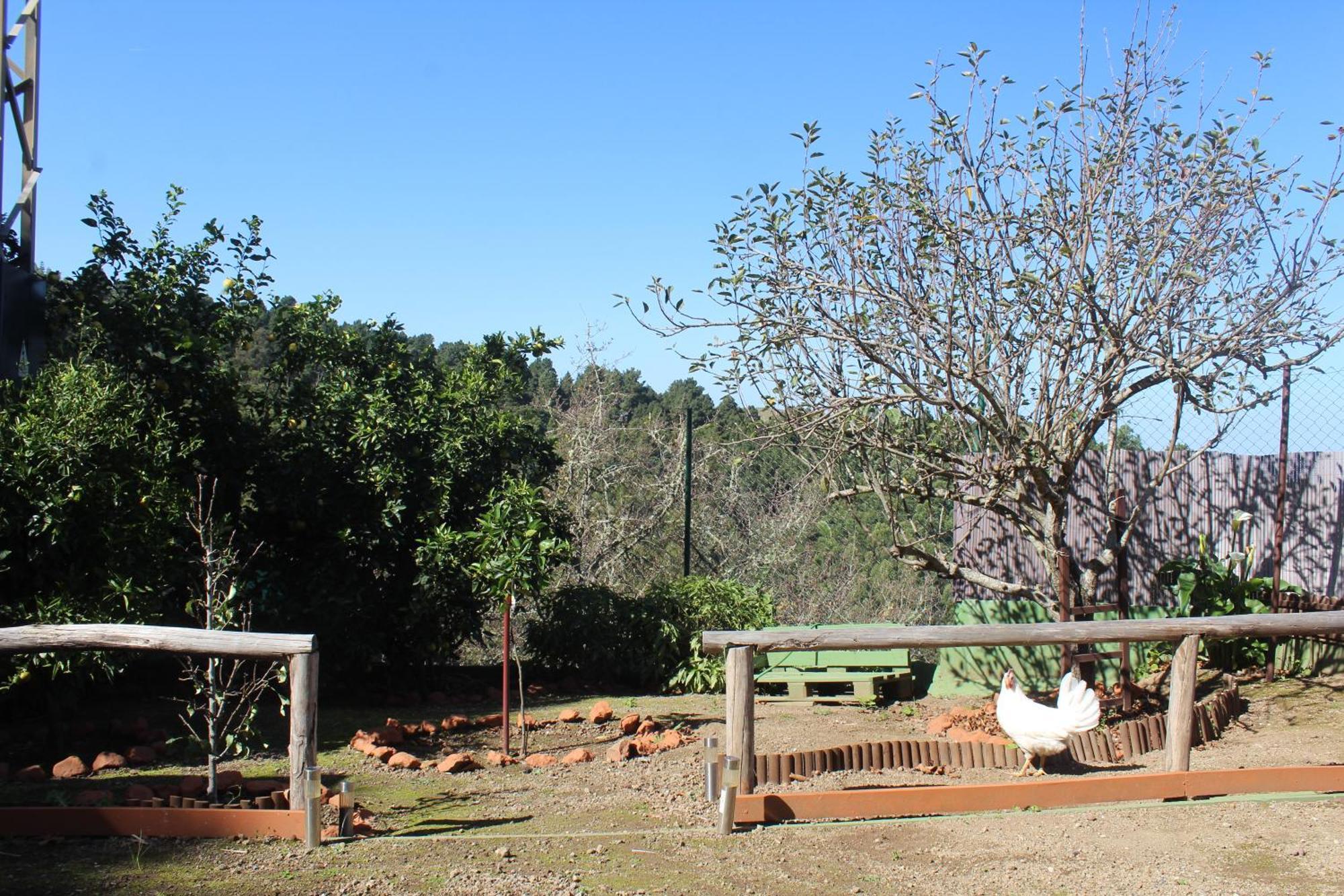Finca Esther Las Palmas de Gran Canaria Kültér fotó