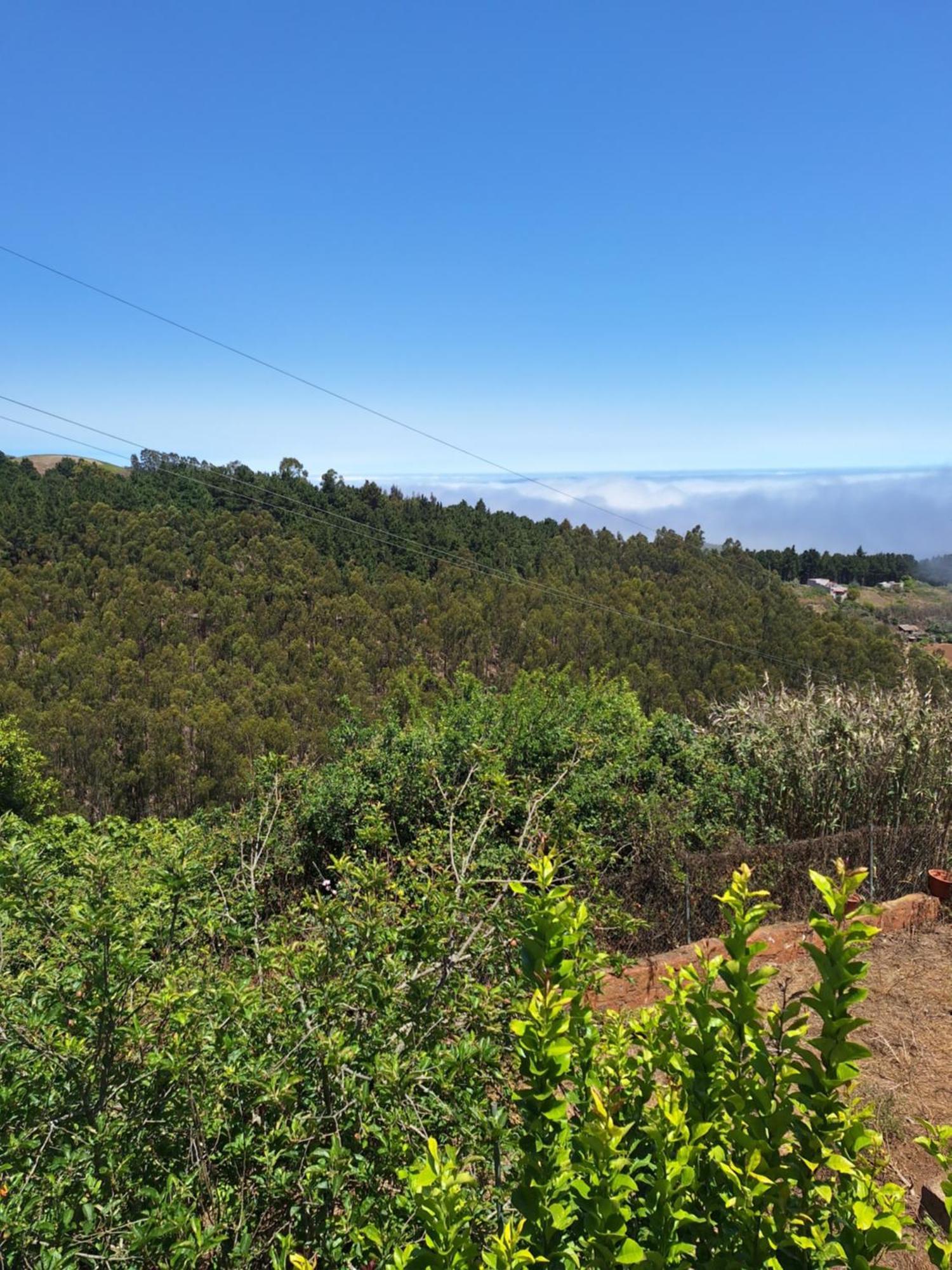 Finca Esther Las Palmas de Gran Canaria Kültér fotó